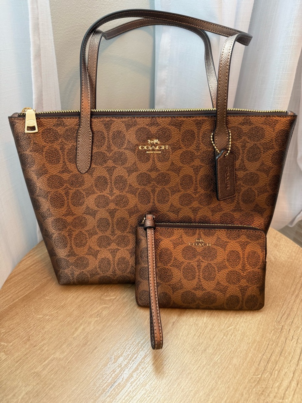 Coach Outlet Fiona Zip Tote Bag In Signature Canvas with matching zip wristlet
